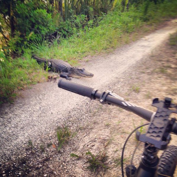 morning picdump 56 pics 36.html - 56 HD Photos | Premium Gallery 2014