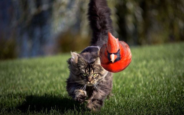 morning picdump 56 pics 36.html - 56 HD Photos | Premium Gallery 2014