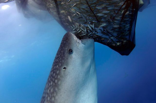 morning picdump 56 pics 36.html - 56 HD Photos | Premium Gallery 2014