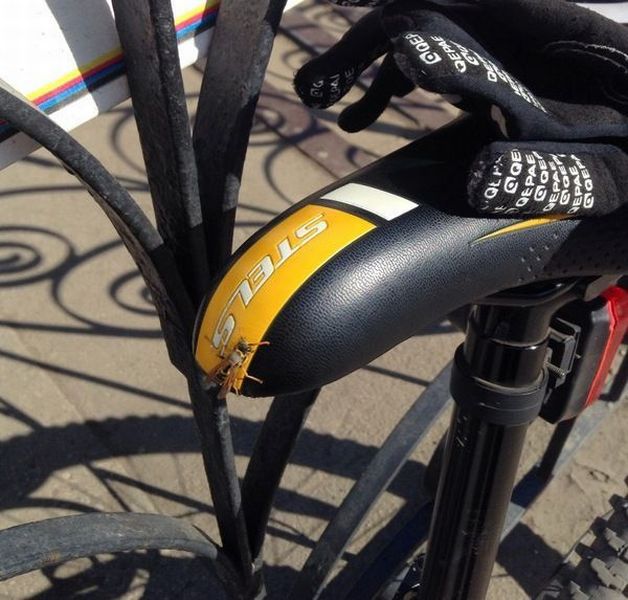 morning picdump 56 pics 36.html - 56 HD Photos | Premium Gallery 2014