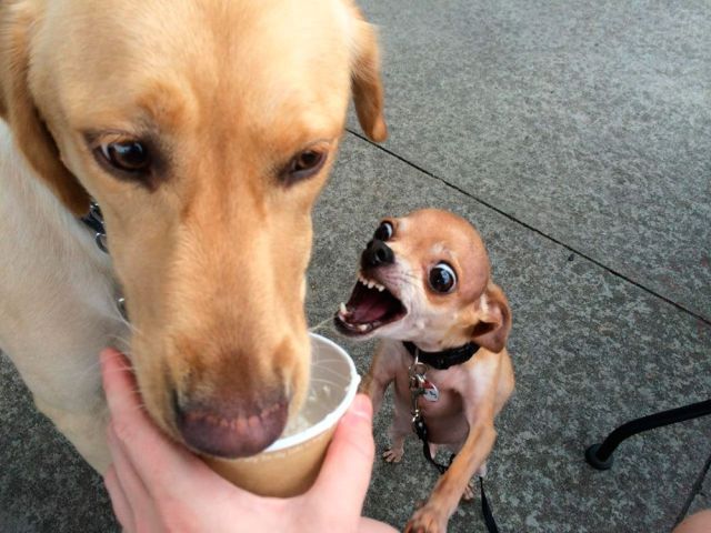 morning picdump 56 pics 36.html - 56 HD Photos | Premium Gallery 2014