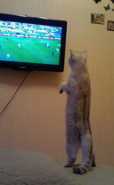 morning picdump 56 pics 36.html - 56 HD Photos | Premium Gallery 2014