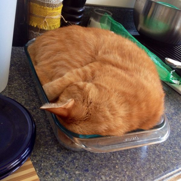 morning picdump 56 pics 36.html - 56 HD Photos | Premium Gallery 2014