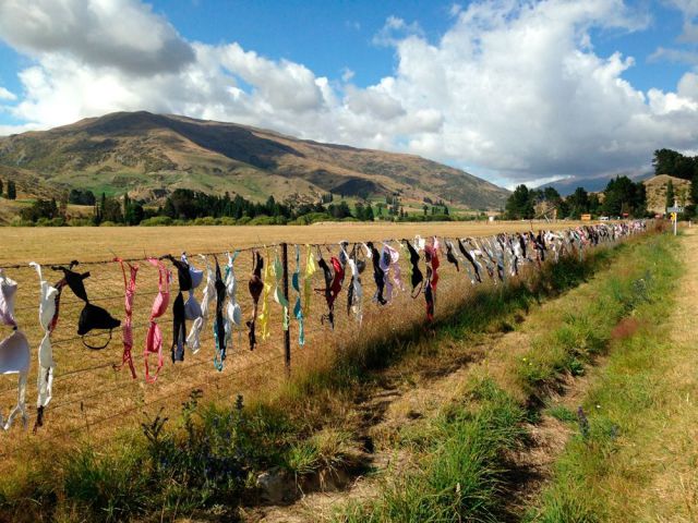 morning picdump 56 pics 36.html - 56 HD Photos | Premium Gallery 2014