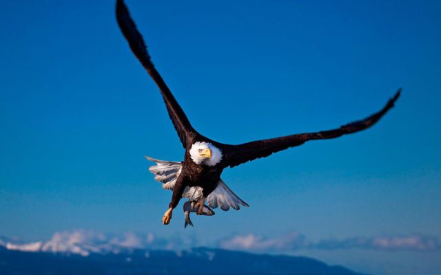 morning picdump 55 pics 2.html - 55 HD Photos | Premium Gallery 2014