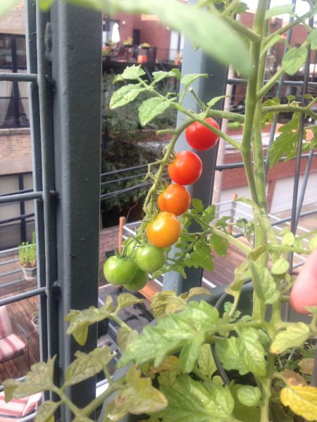 morning picdump 55 pics 2.html - 55 HD Photos | Premium Gallery 2014