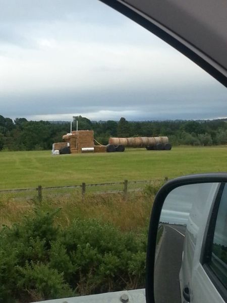 morning picdump 55 pics 2.html - 55 HD Photos | Premium Gallery 2014