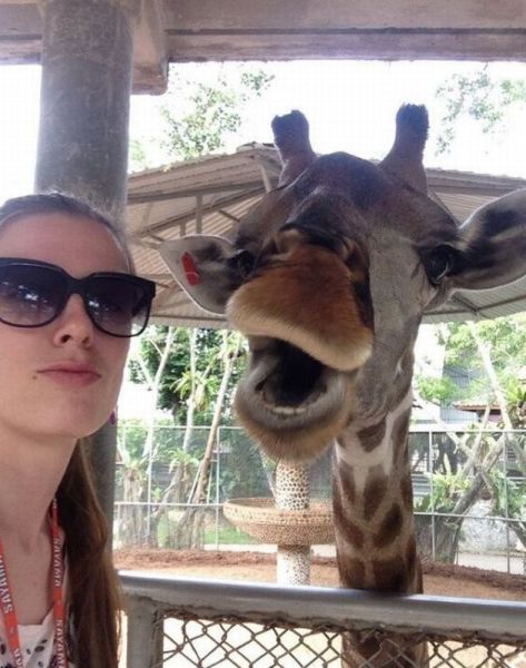 morning picdump 58 pics 4.html - 58 HD Photos | Premium Gallery 2014