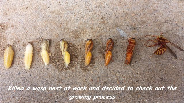 morning picdump 58 pics 4.html - 58 HD Photos | Premium Gallery 2014