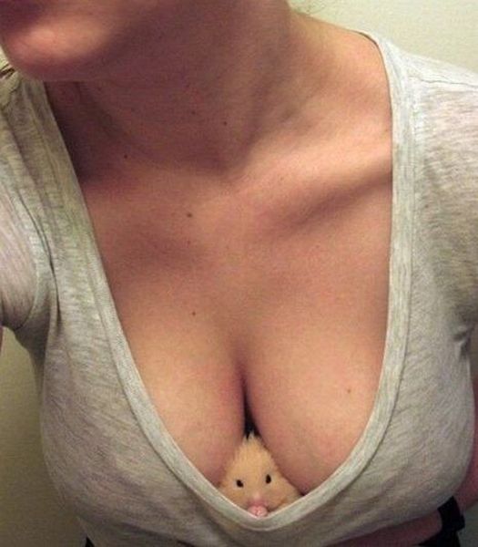 grownup corner 42 pics 21 gifs 2.html - 42 HD GIF | Premium Gallery 2014