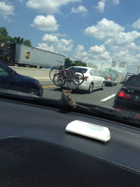 morning picdump 59 pics 38.html - 59 HD Photos | Premium Gallery 2014