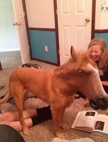 morning picdump 59 pics 38.html - 59 HD Photos | Premium Gallery 2014