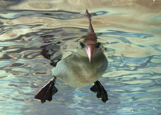 morning picdump 59 pics 38.html - 59 HD Photos | Premium Gallery 2014