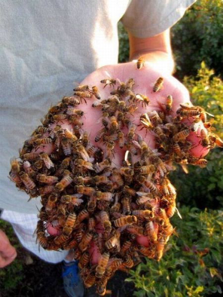 morning picdump 59 pics 38.html - 59 HD Photos | Premium Gallery 2014