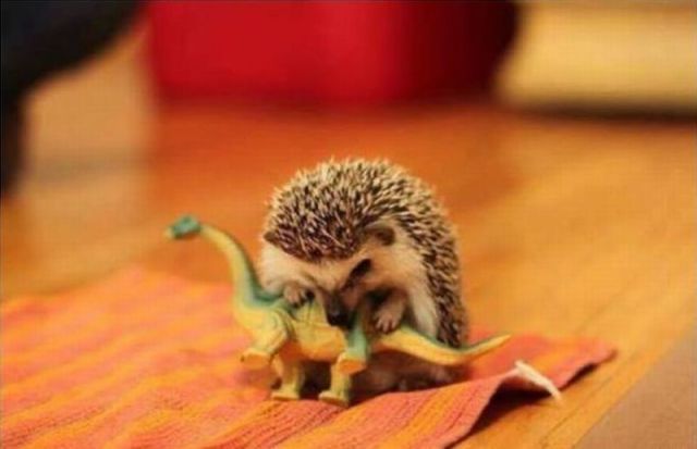 morning picdump 59 pics 38.html - 59 HD Photos | Premium Gallery 2014