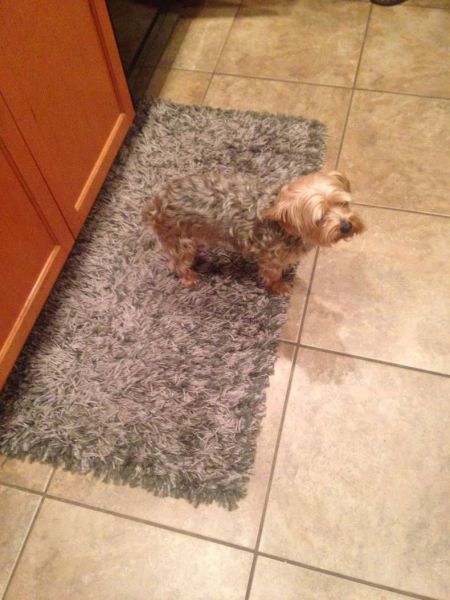 morning picdump 59 pics 38.html - 59 HD Photos | Premium Gallery 2014