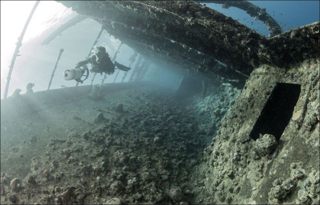 morning picdump 59 pics 38.html - 59 HD Photos | Premium Gallery 2014