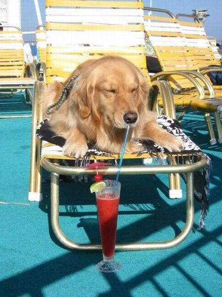 morning picdump 59 pics 38.html - 59 HD Photos | Premium Gallery 2014