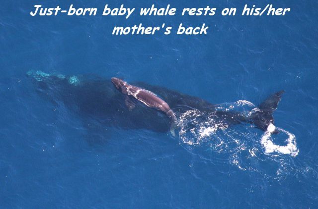 morning picdump 59 pics 38.html - 59 HD Photos | Premium Gallery 2014