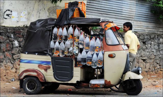 morning picdump 59 pics 38.html - 59 HD Photos | Premium Gallery 2014