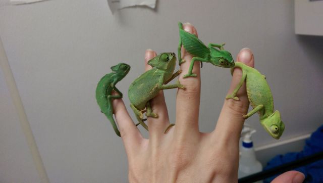 morning picdump 59 pics 38.html - 59 HD Photos | Premium Gallery 2014