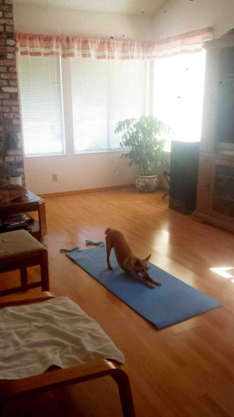 morning picdump 59 pics 38.html - 59 HD Photos | Premium Gallery 2014