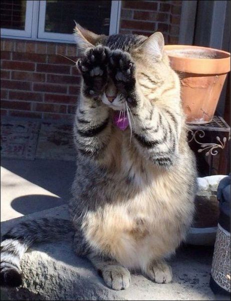 morning picdump 59 pics 38.html - 59 HD Photos | Premium Gallery 2014