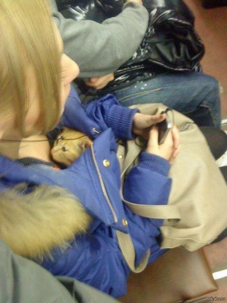 morning picdump 59 pics 38.html - 59 HD Photos | Premium Gallery 2014