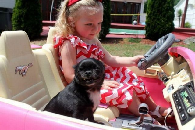 morning picdump 59 pics 38.html - 59 HD Photos | Premium Gallery 2014