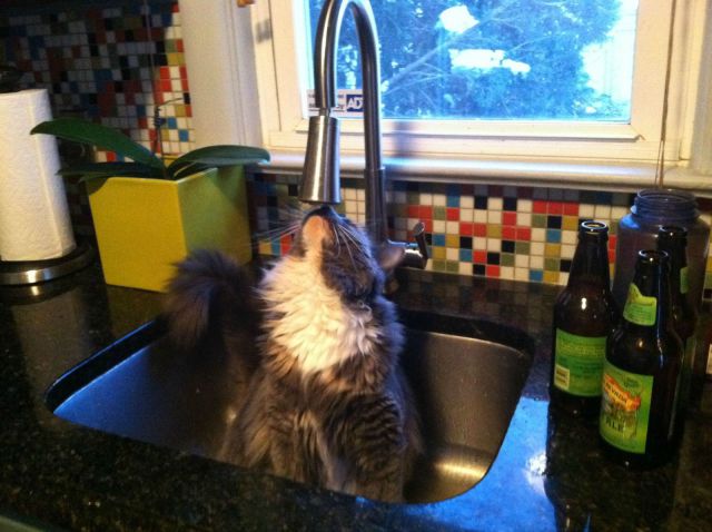 morning picdump 57 pics 31.html - 57 HD Photos | Premium Gallery 2014