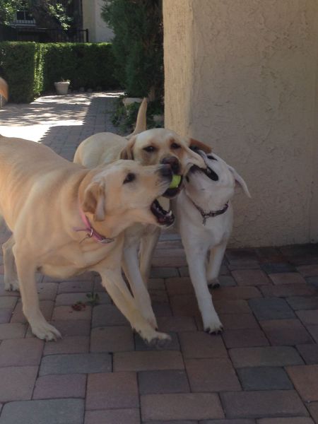 morning picdump 57 pics 31.html - 57 HD Photos | Premium Gallery 2014