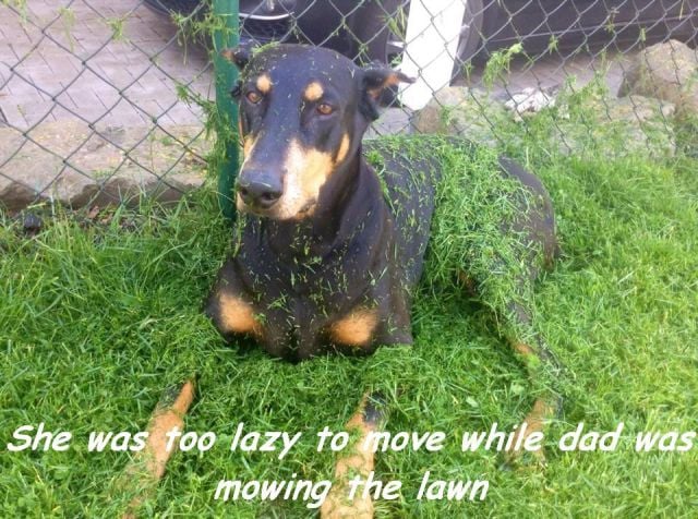 page,2,top 500 morning pics of the year 2014.html - 1 HD Photos | Premium Gallery 2014