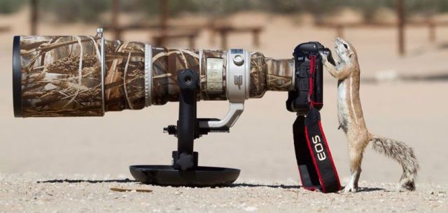 morning picdump 57 pics 31.html - 57 HD Photos | Premium Gallery 2014