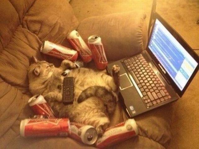 morning picdump 57 pics 31.html - 57 HD Photos | Premium Gallery 2014