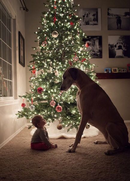 morning picdump 59 pics 59.html - 59 HD Photos | Premium Gallery 2014