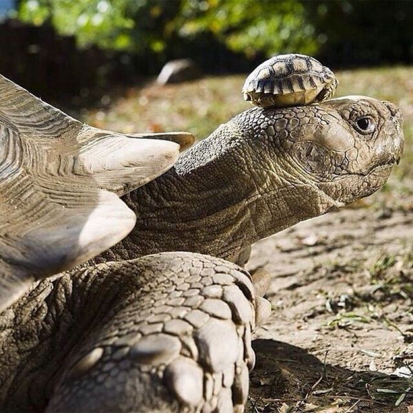 morning picdump 59 pics 59.html - 59 HD Photos | Premium Gallery 2014