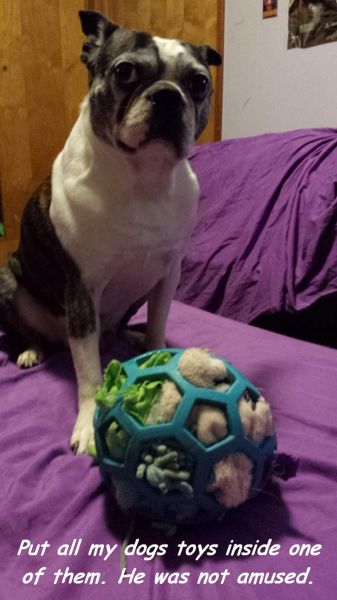 morning picdump 59 pics 59.html - 59 HD Photos | Premium Gallery 2014