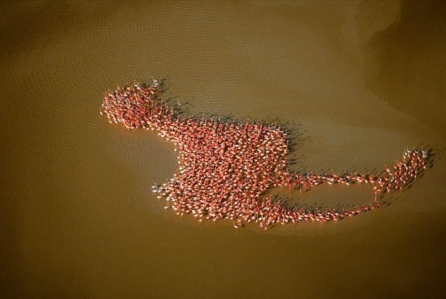 morning picdump 59 pics 59.html - 59 HD Photos | Premium Gallery 2014