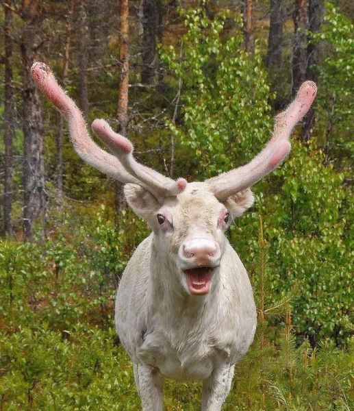 morning picdump 59 pics 59.html - 59 HD Photos | Premium Gallery 2014