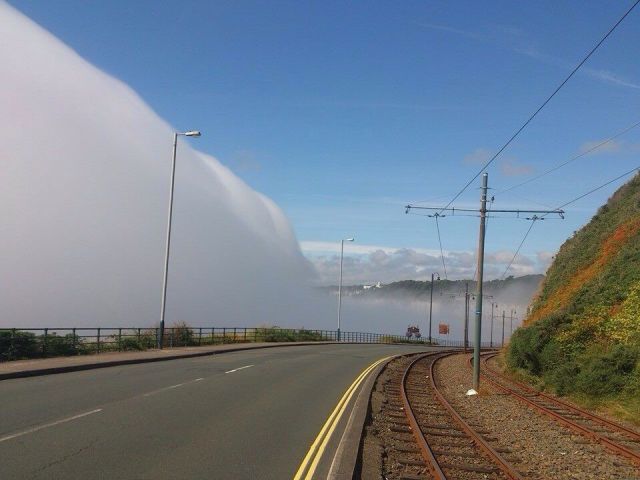 morning picdump 59 pics 59.html - 59 HD Photos | Premium Gallery 2014