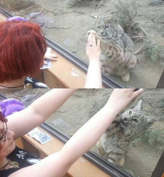 morning picdump 59 pics 59.html - 59 HD Photos | Premium Gallery 2014