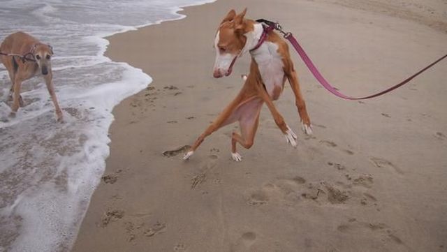 morning picdump 59 pics 59.html - 59 HD Photos | Premium Gallery 2014