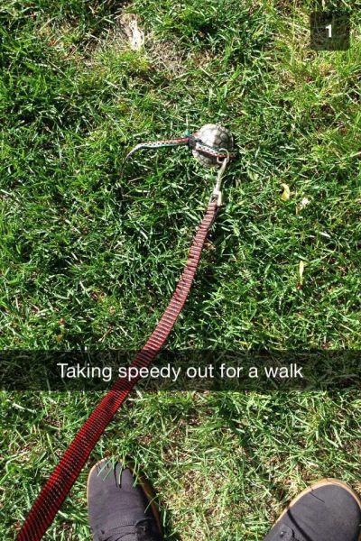 morning picdump 59 pics 59.html - 59 HD Photos | Premium Gallery 2014