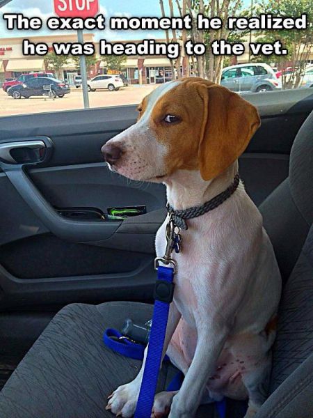 morning picdump 62 pics 11.html - 62 HD Photos | Premium Gallery 2014