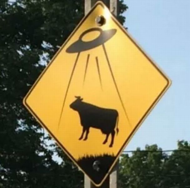 morning picdump 62 pics 11.html - 62 HD Photos | Premium Gallery 2014