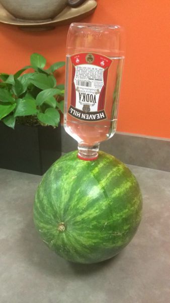 morning picdump 62 pics 11.html - 62 HD Photos | Premium Gallery 2014