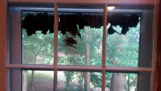 morning picdump 62 pics 11.html - 62 HD Photos | Premium Gallery 2014