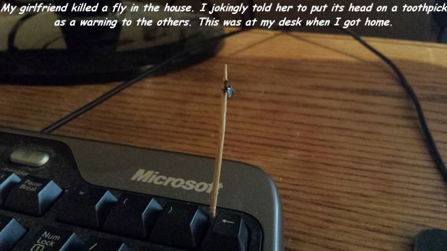 morning picdump 62 pics 11.html - 62 HD Photos | Premium Gallery 2014