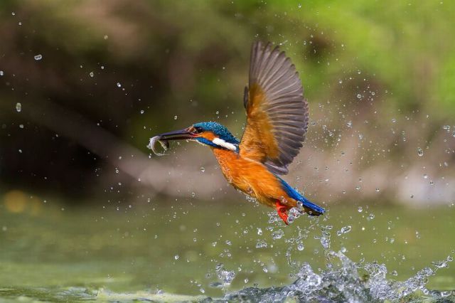 morning picdump 62 pics 11.html - 62 HD Photos | Premium Gallery 2014