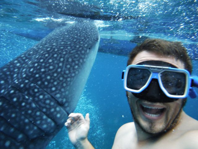 morning picdump 62 pics 11.html - 62 HD Photos | Premium Gallery 2014